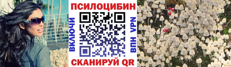 Галлюциногенные грибы Psilocybine cubensis  Белинский 